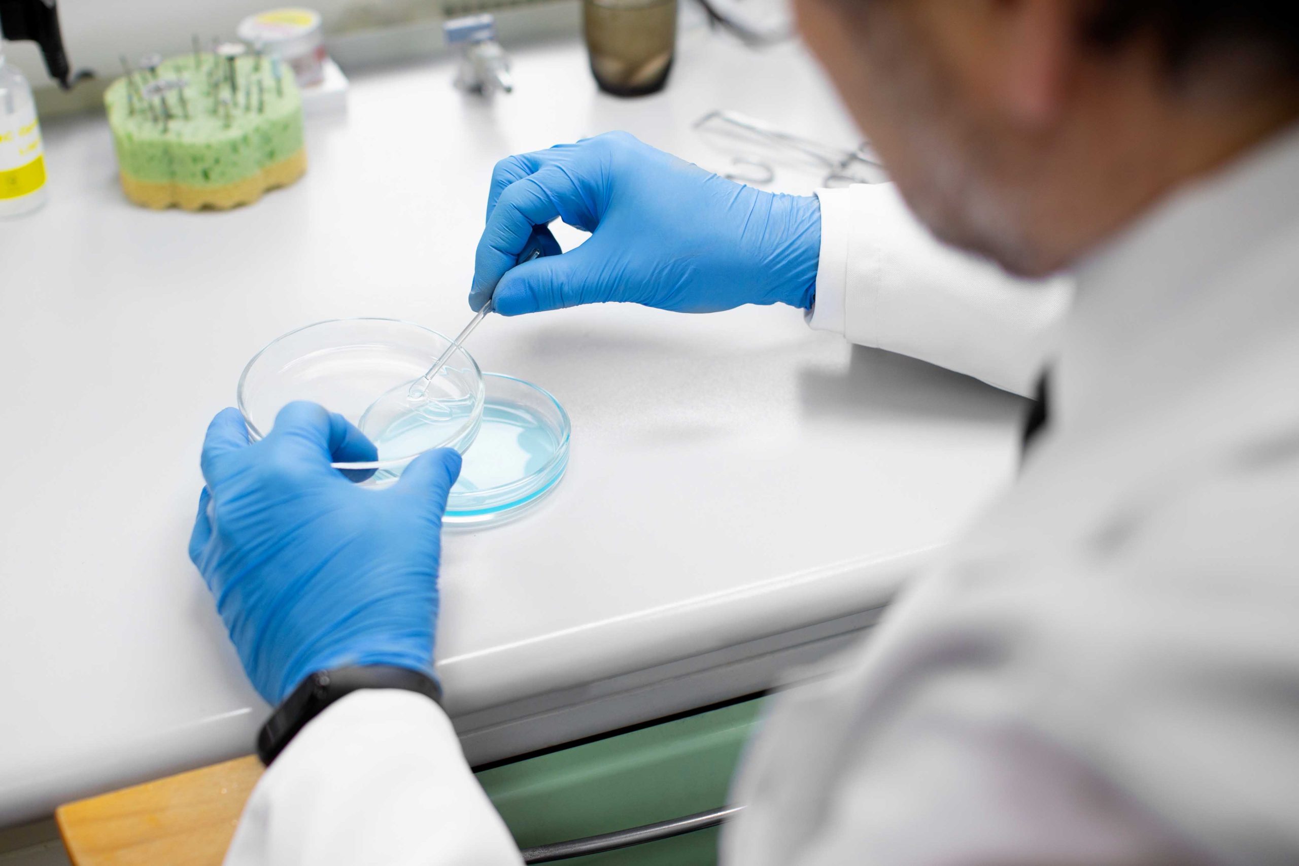 Un científico en un laboratorio utilizando guantes azules y manipulando una muestra en una placa de Petri.